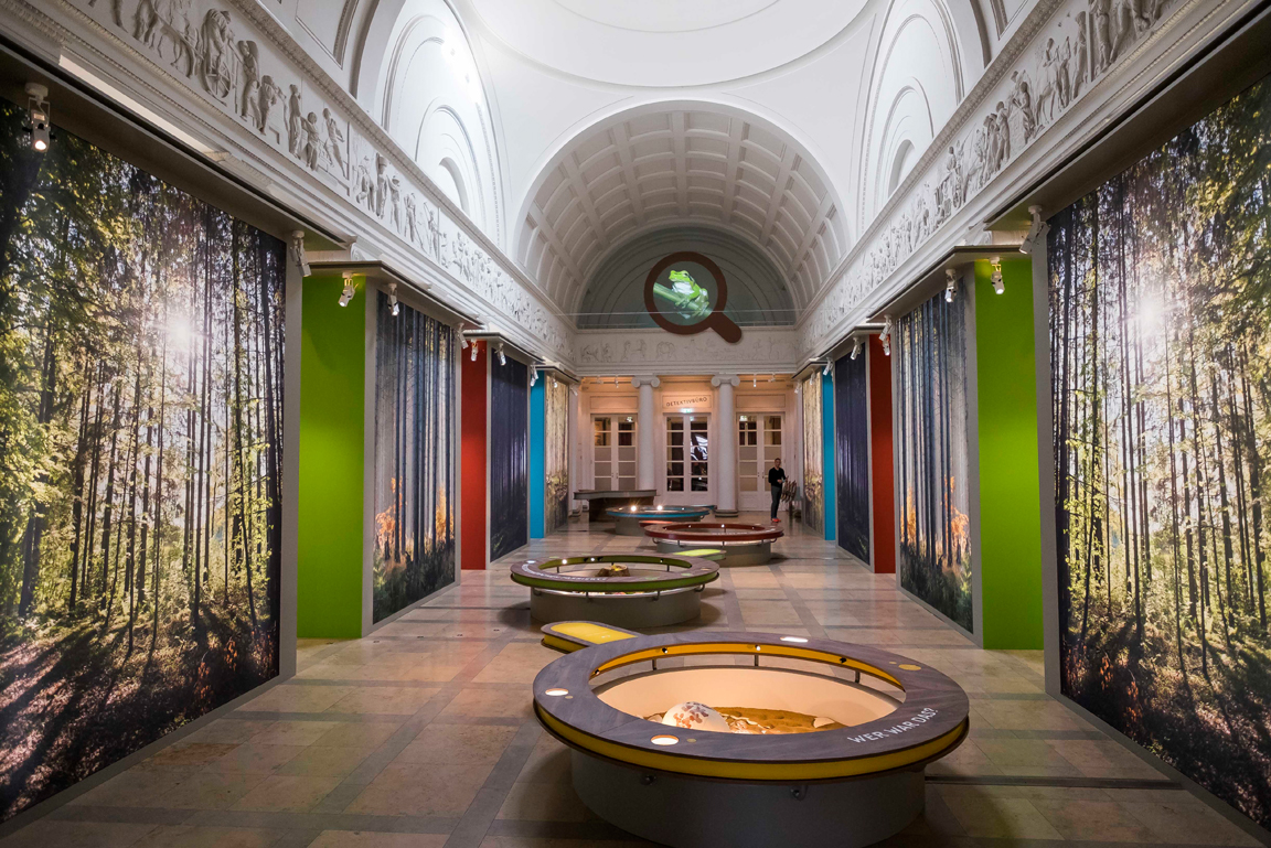 Eingangsbereich mit Tatorten der Sonderausstellung Naturdetektive