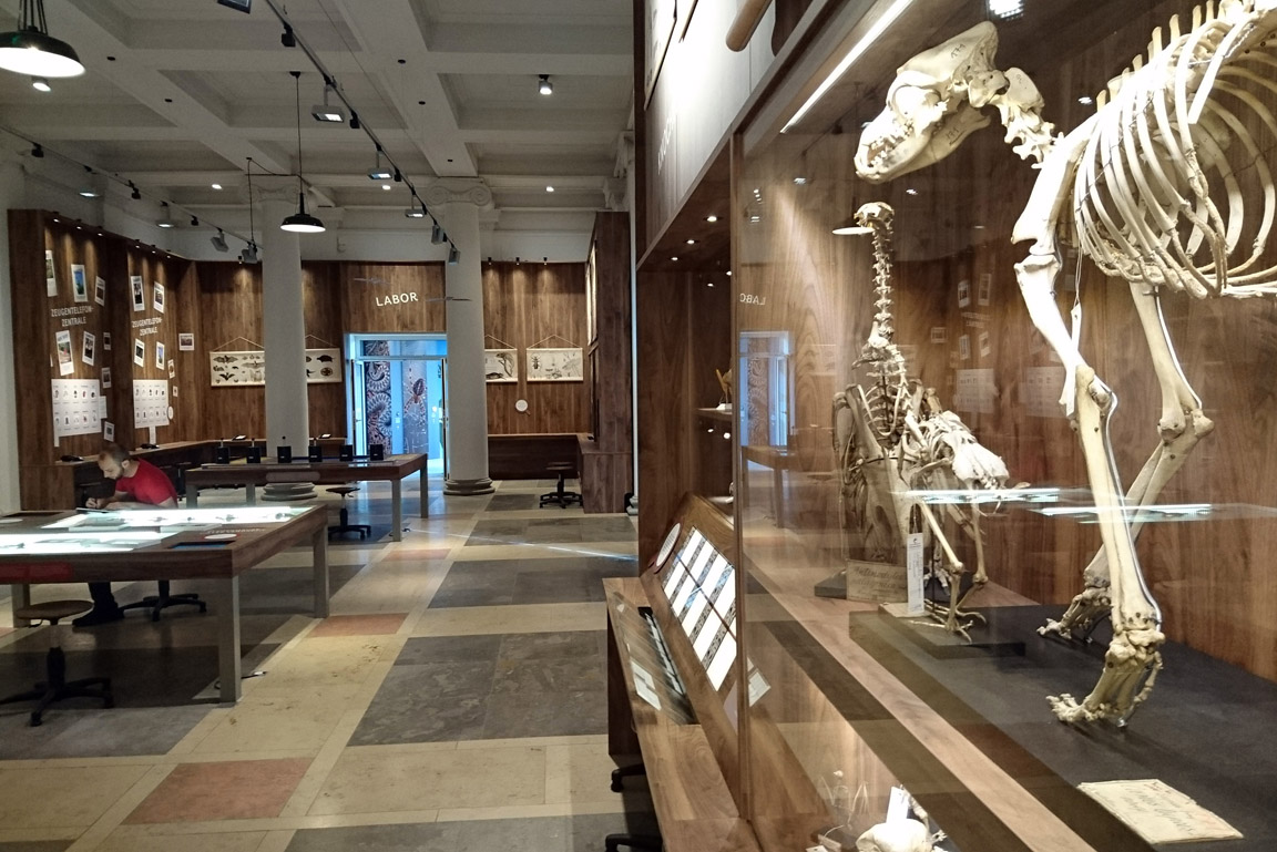 Detektivbüro der Ausstellung Naturdetektive
