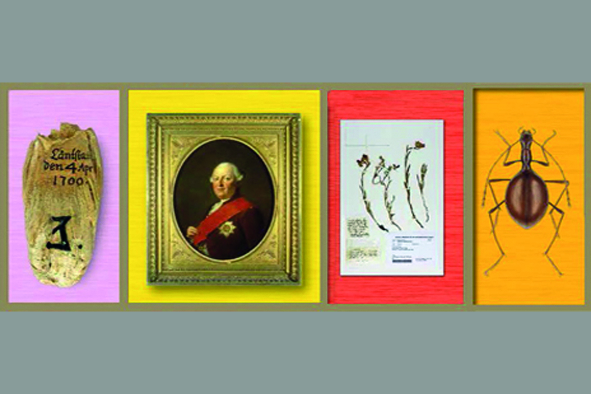 Collage der Sonderausstellung "Natur Museum Geschichte"