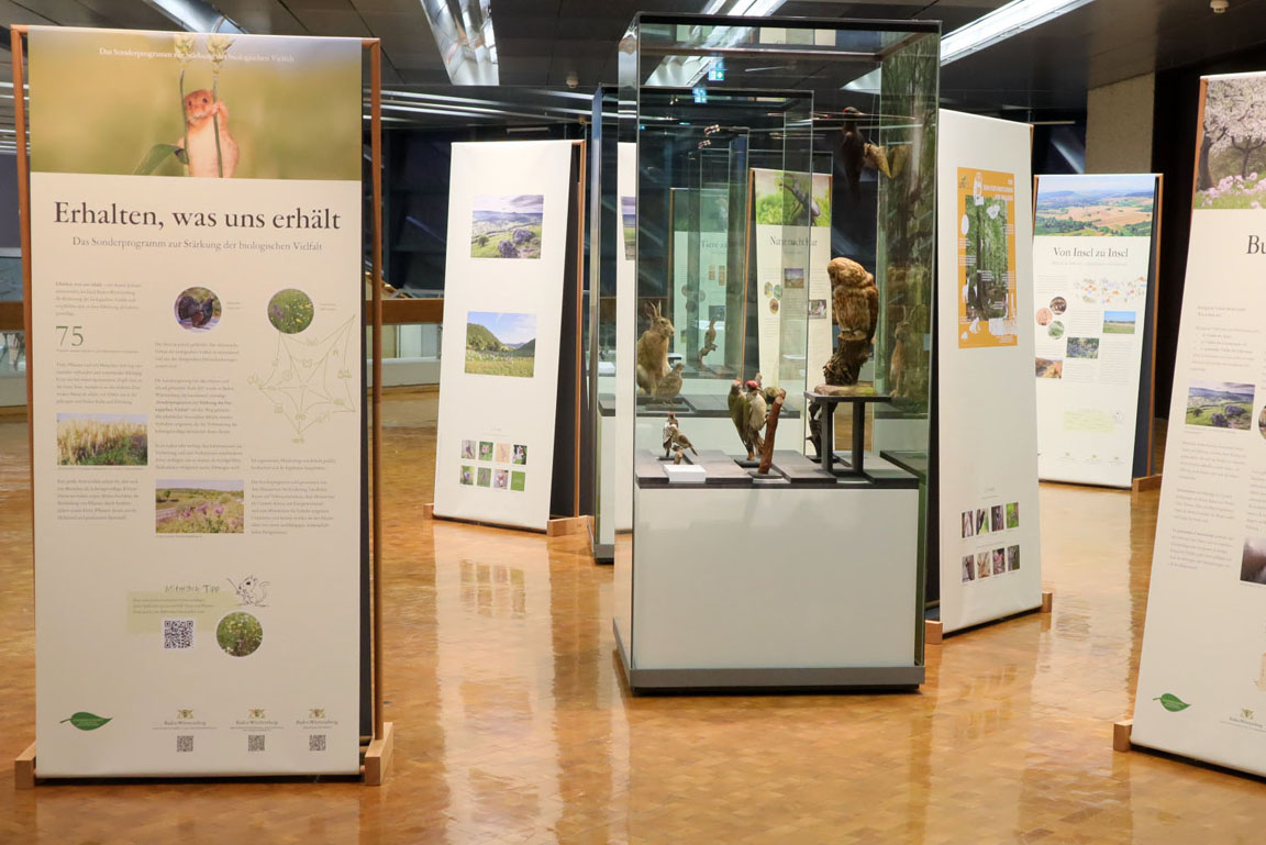 Vitrinen und Plakate in der Ausstellung "Sonderprogramm zur biologischen Vielfalt"