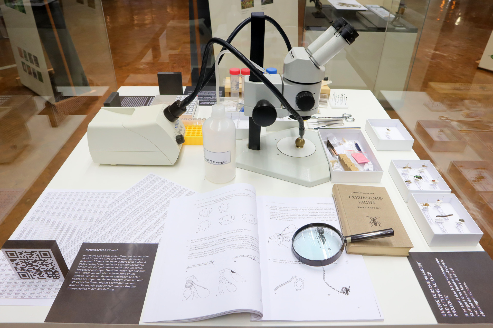 Teil der Ausstellung "Sonderprogramm zur biologischen Vielfalt"