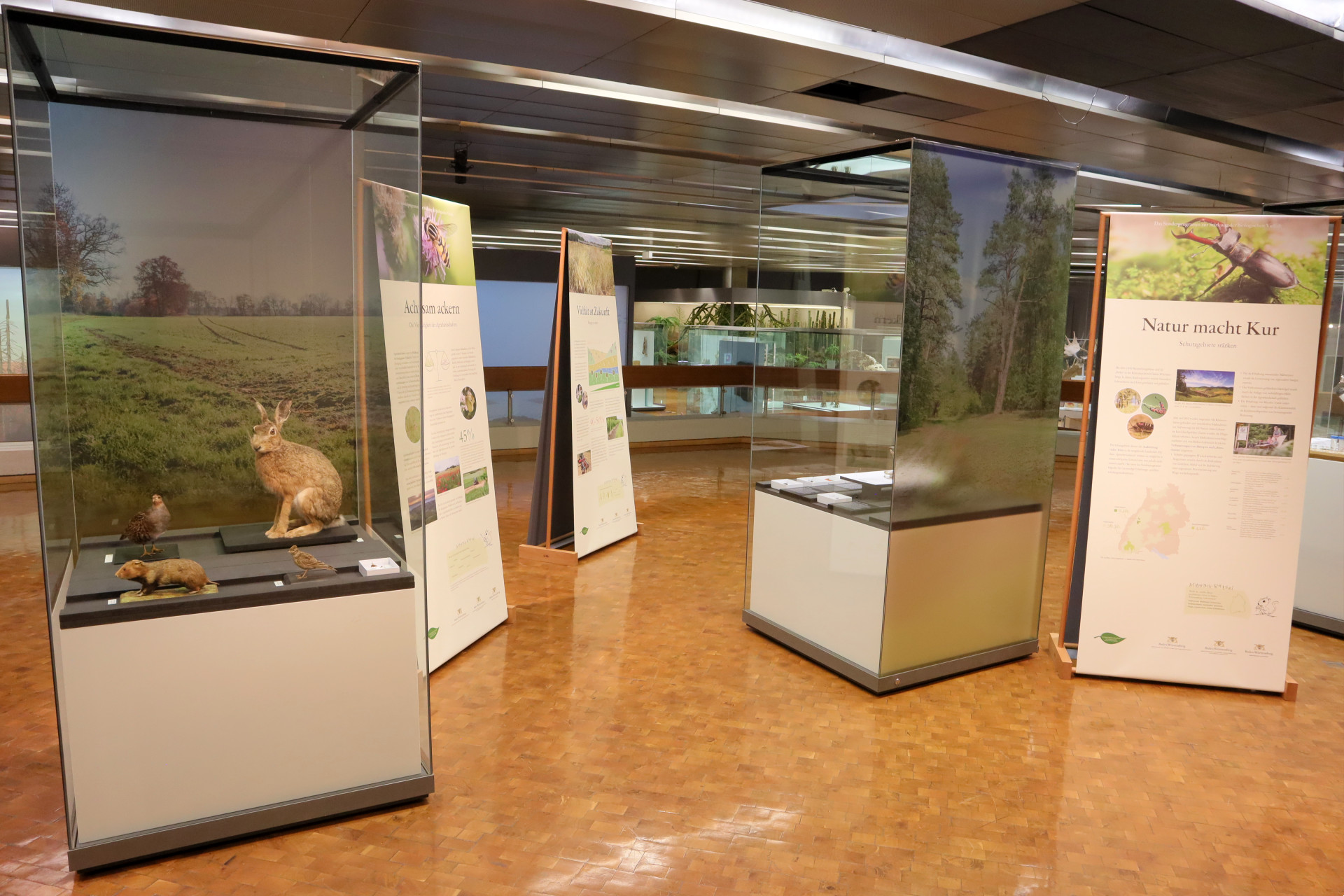 Vitrinen in der Ausstellung "Sonderprogramm zur biologischen Vielfalt"