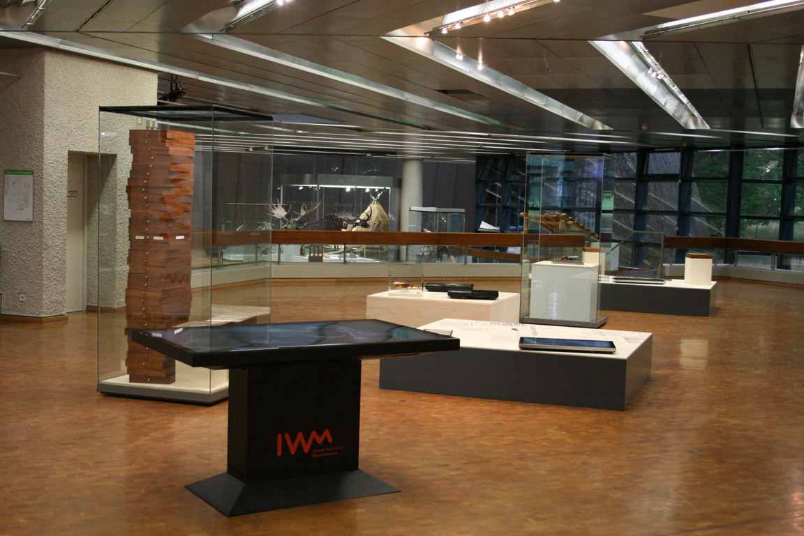 Fotografie der Sonderausstellung "Die Anderen Wespen" im Museum am Löwentor.