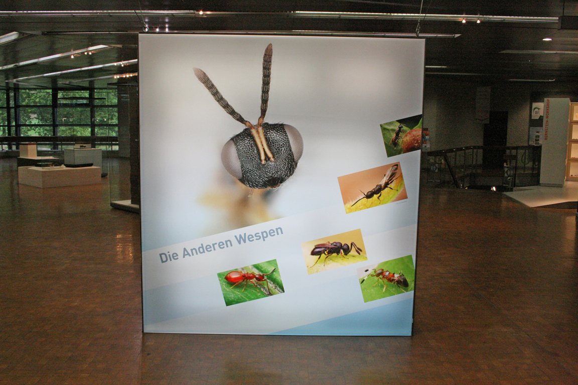 Plakat zr Sonderausstellung "Die Anderen Wespen".