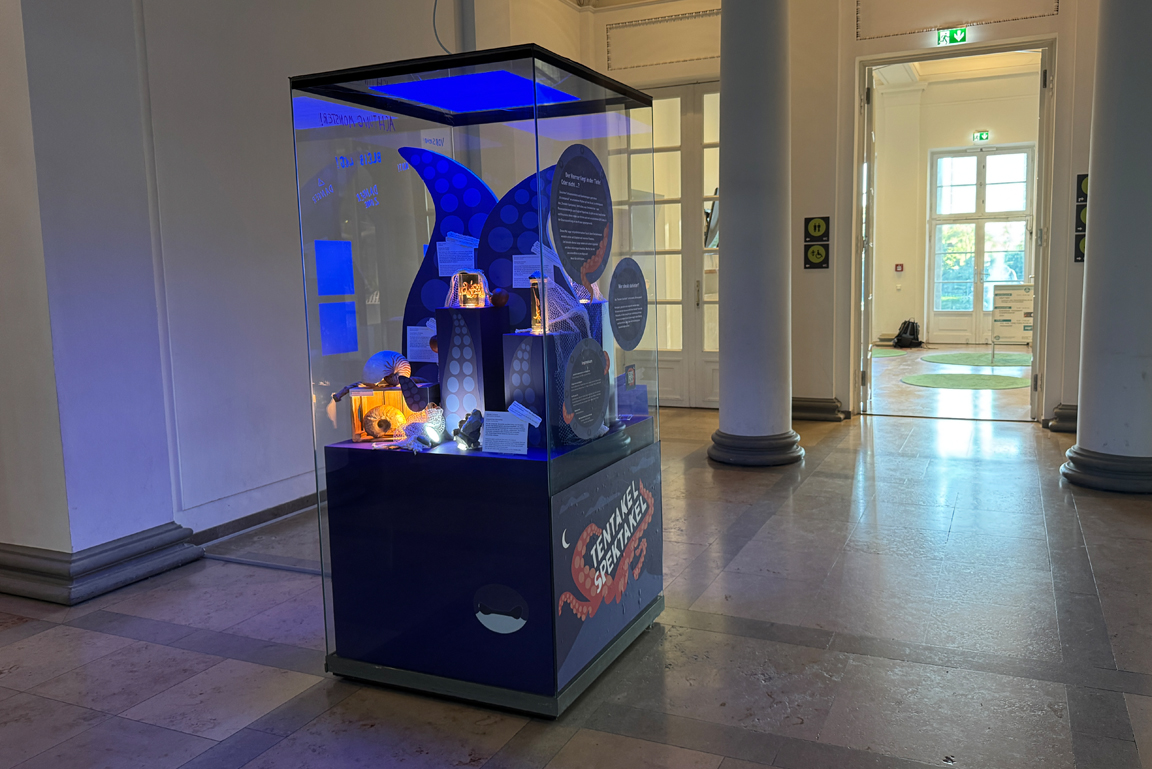 Übersicht über die Vitrine spezial Tentakel Spektakel