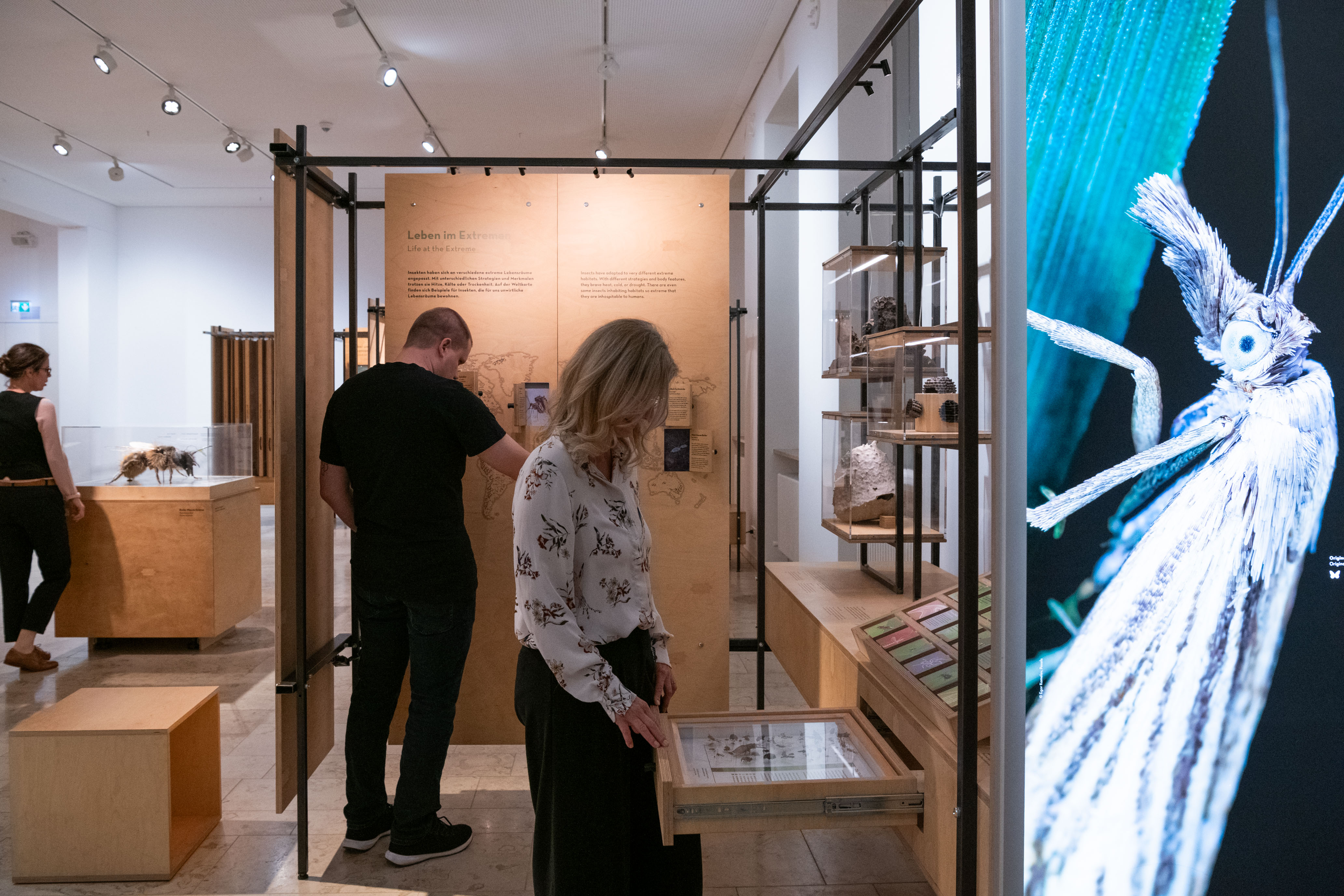 Besucher und Besucherinnen an verschiedenen Stationen in der Sonderausstellung Facettenreiche Insekten