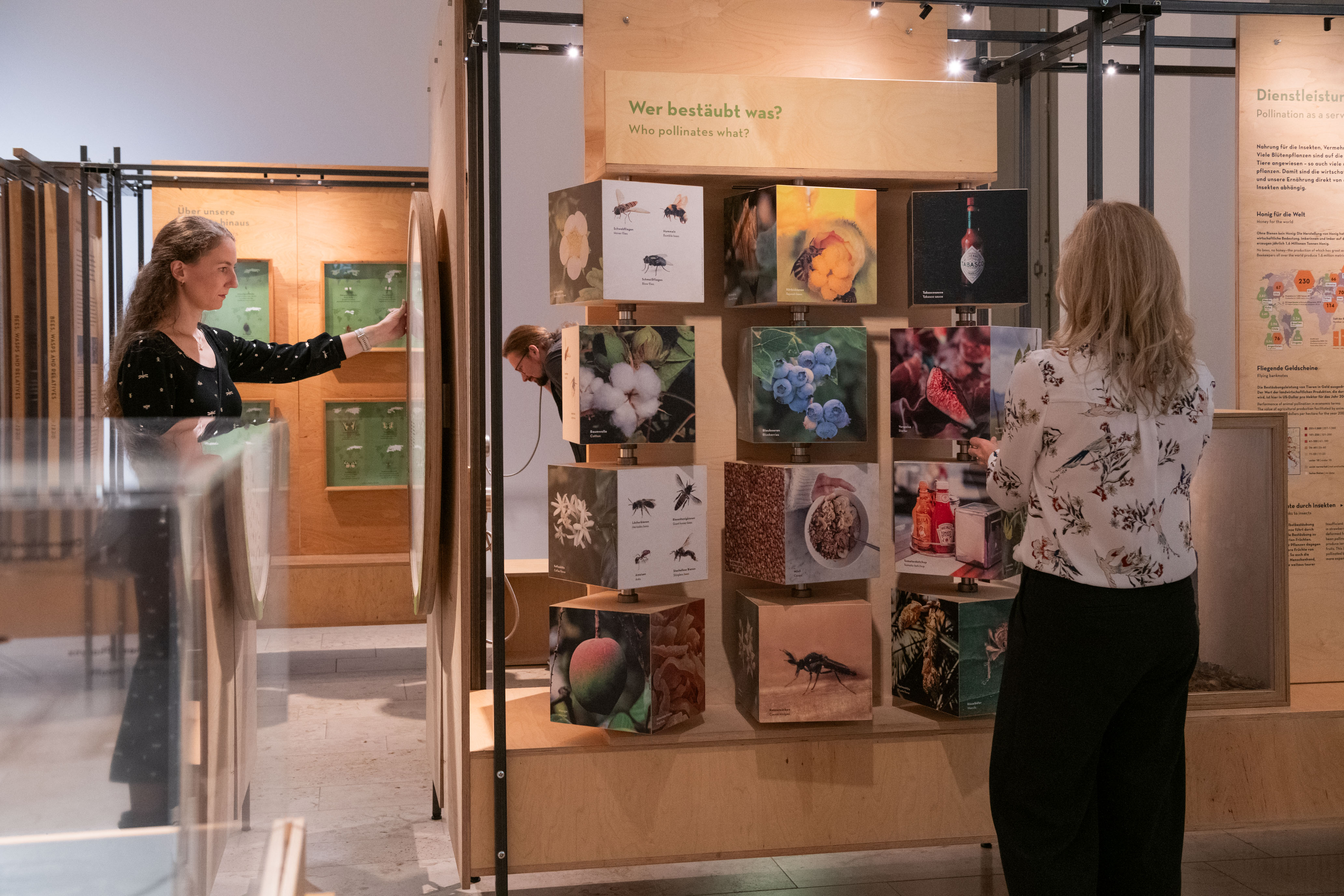 Besucher und Besucherinnen an verschiedenen Stationen in der Sonderausstellung Facettenreiche Insekten