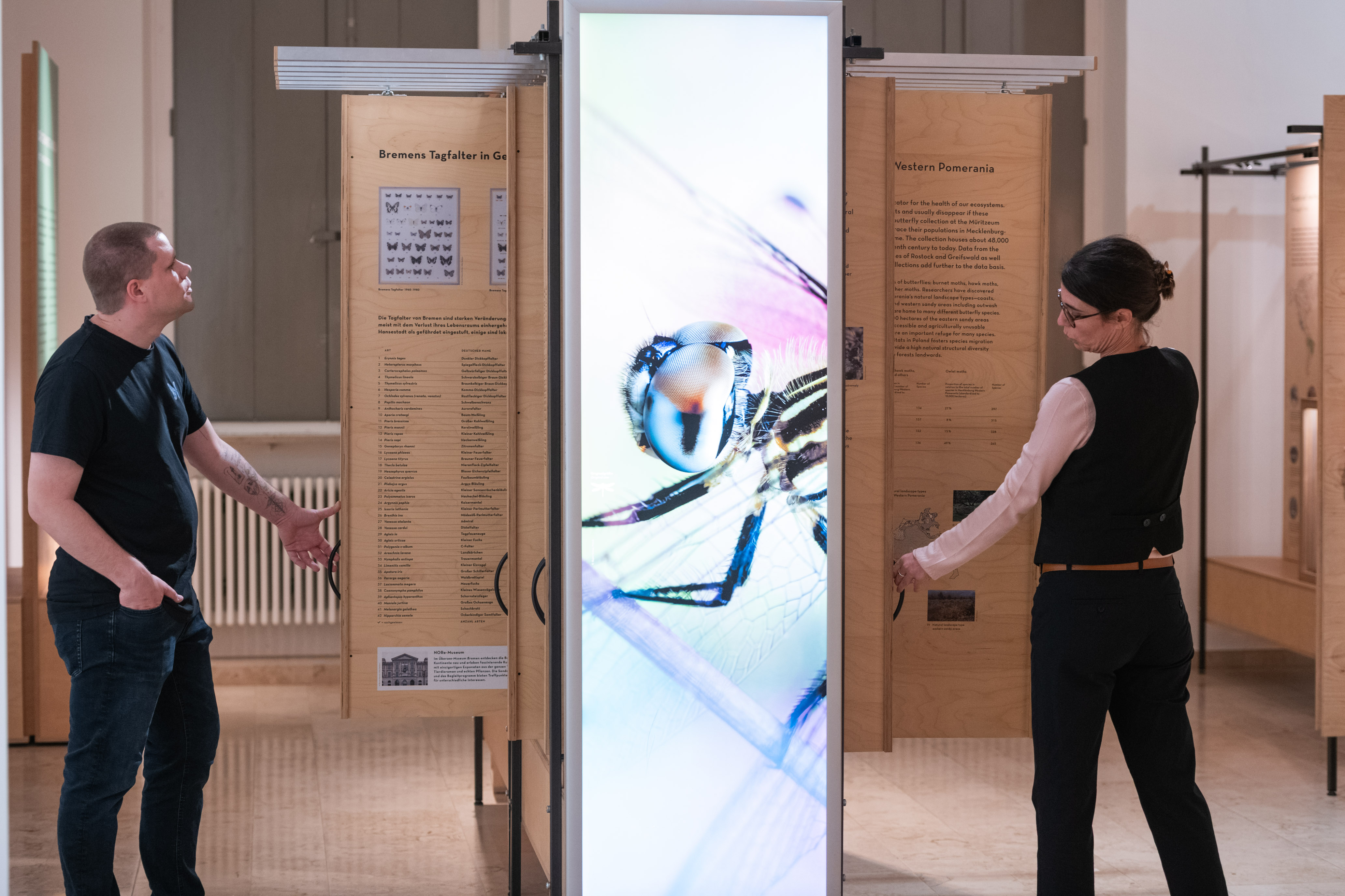 Besucher und Besucherin an ausziehbaren Holztafeln mit Informationen in der Sonderausstellung Facettenreiche Insekten