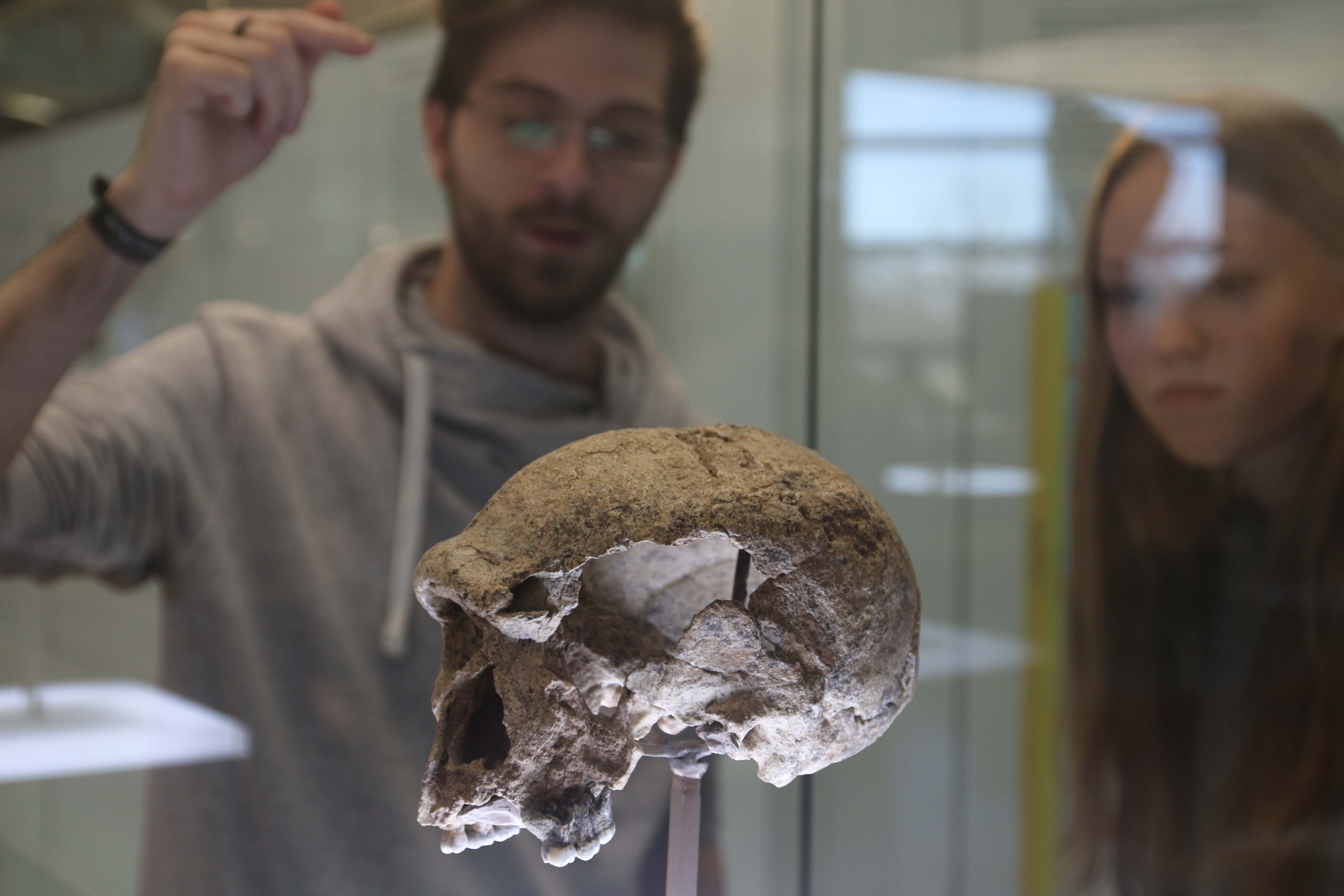 Besucher mit Schädel Steinheimer Urmensch