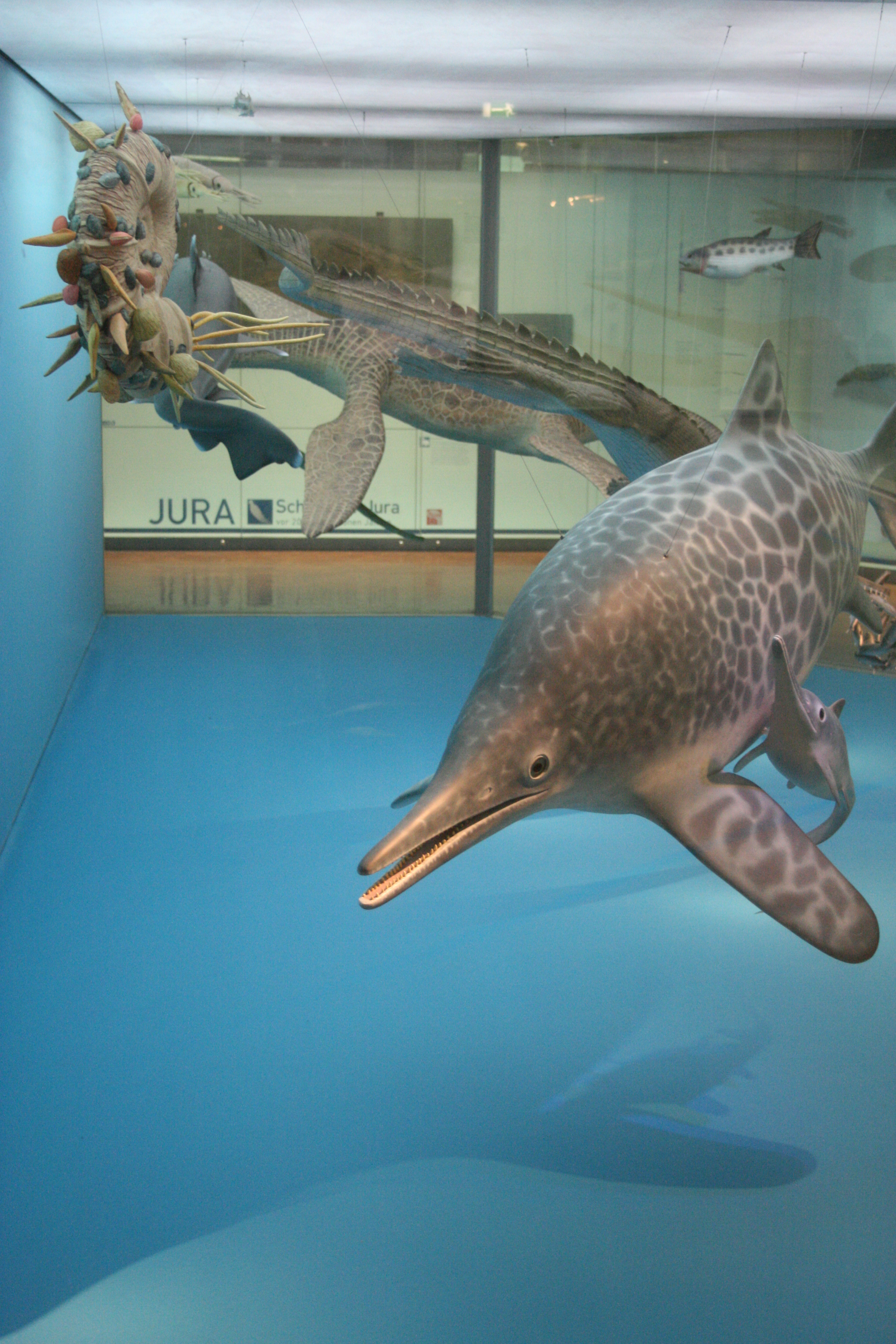 Verschiedene Modelle von urzeitlichen Meerestieren, im Vordergrund ein Fischsaurier mit Jungtier