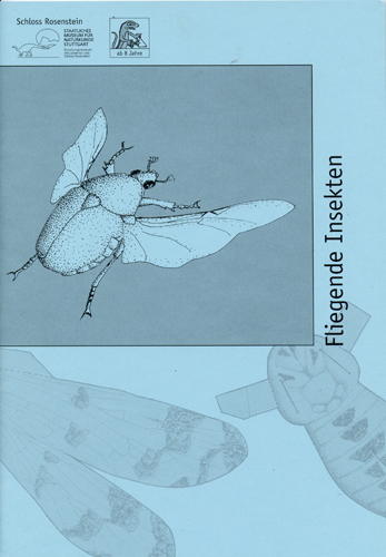 Titelbild Bastelbogen Insekten