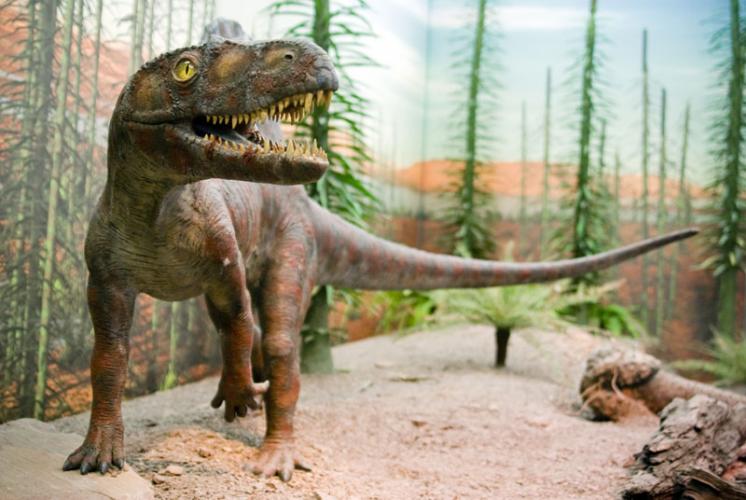 Modell Arizonasaurus