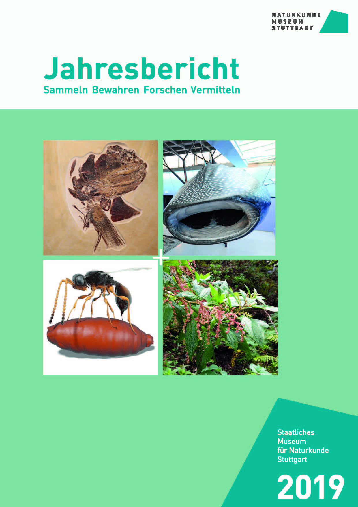 Titelbild Jahresbericht 2019