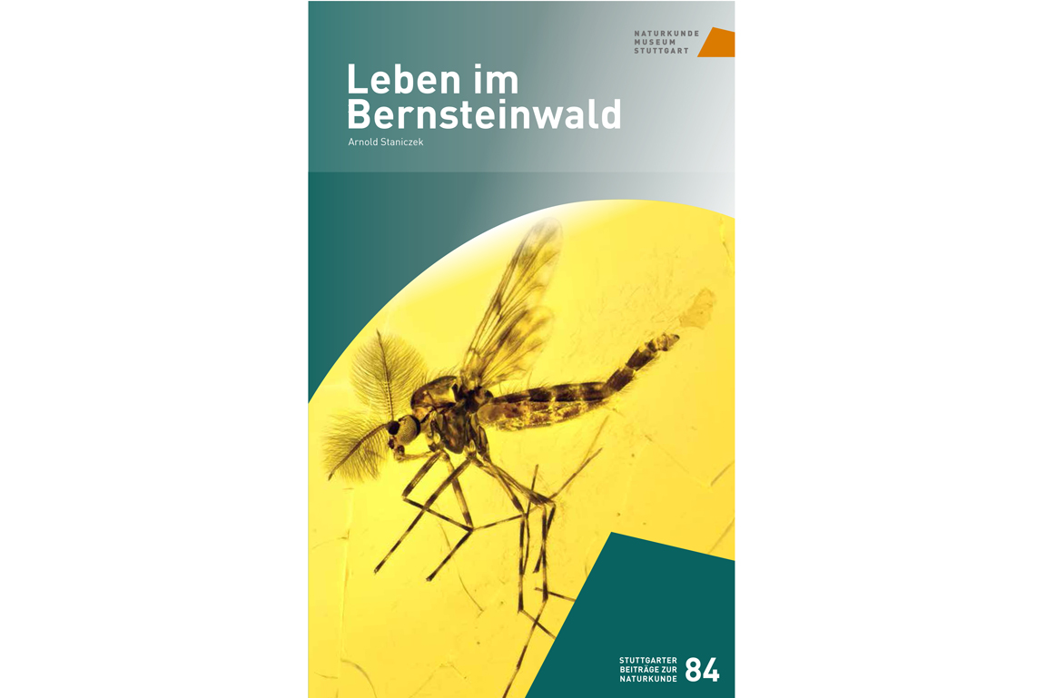 Cover Serie C 84 Leben im Bernsteinwald