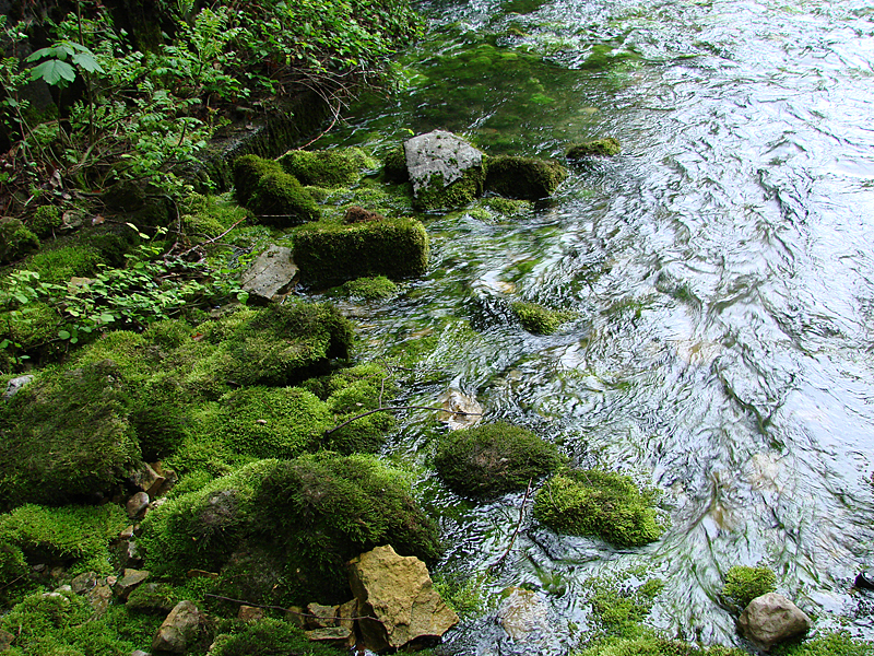 Naturnahe Quelle