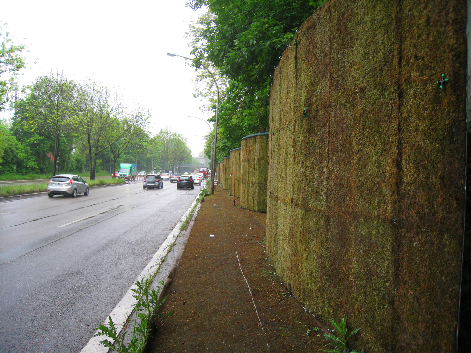 Mooswand an einer Straße