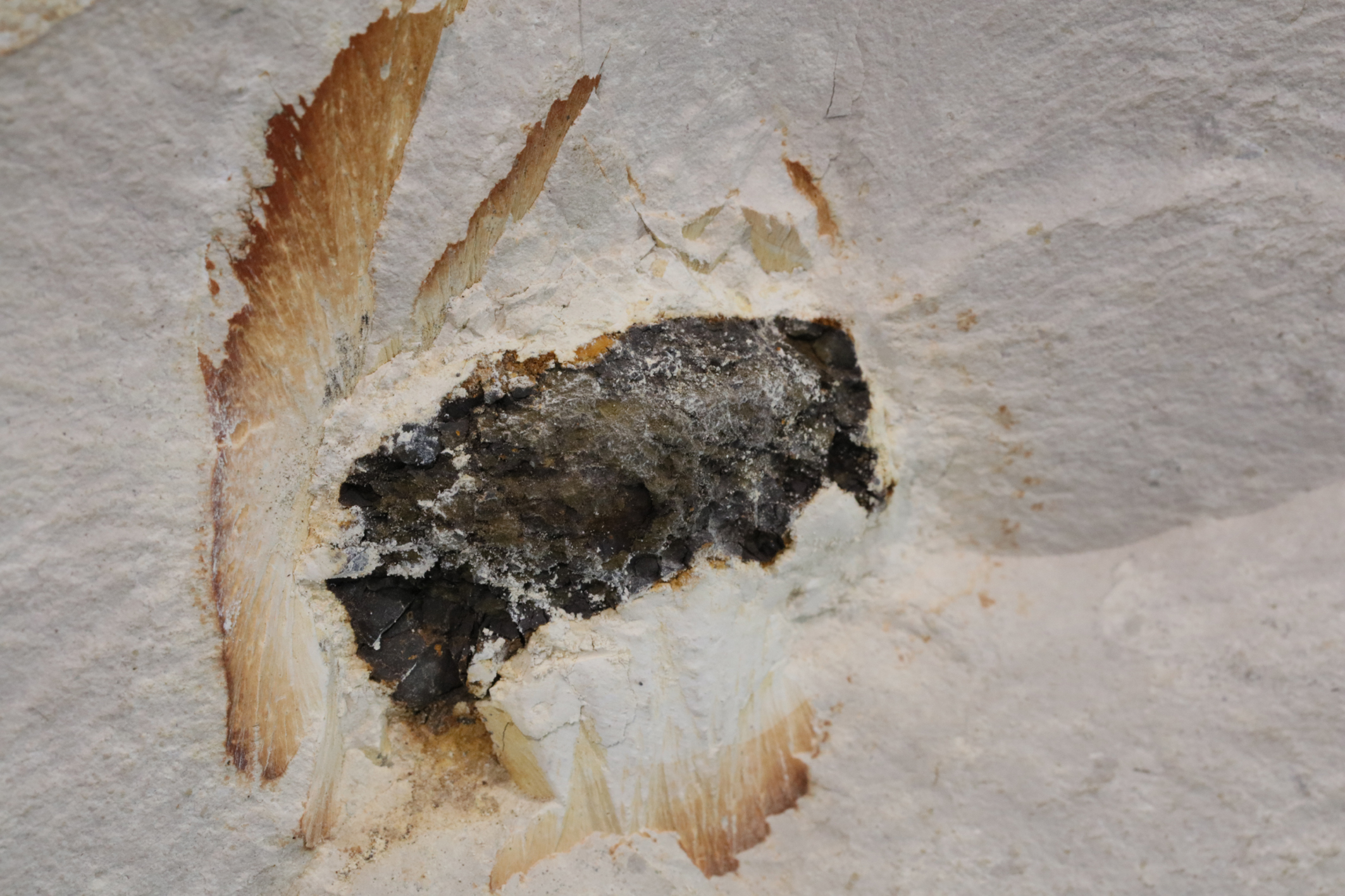 Meteoritenfragment