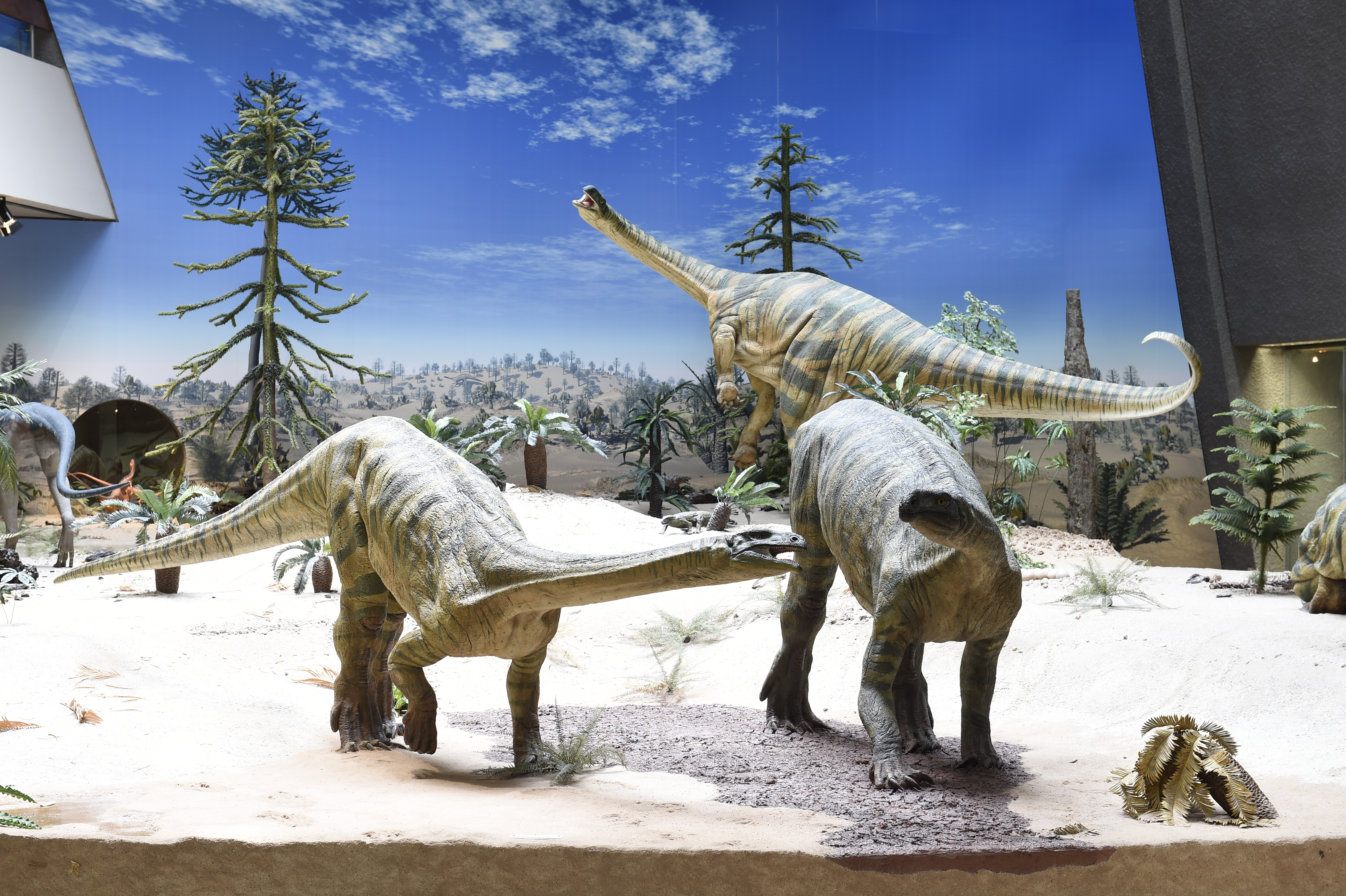 Plateosaurus trossingensis Modell