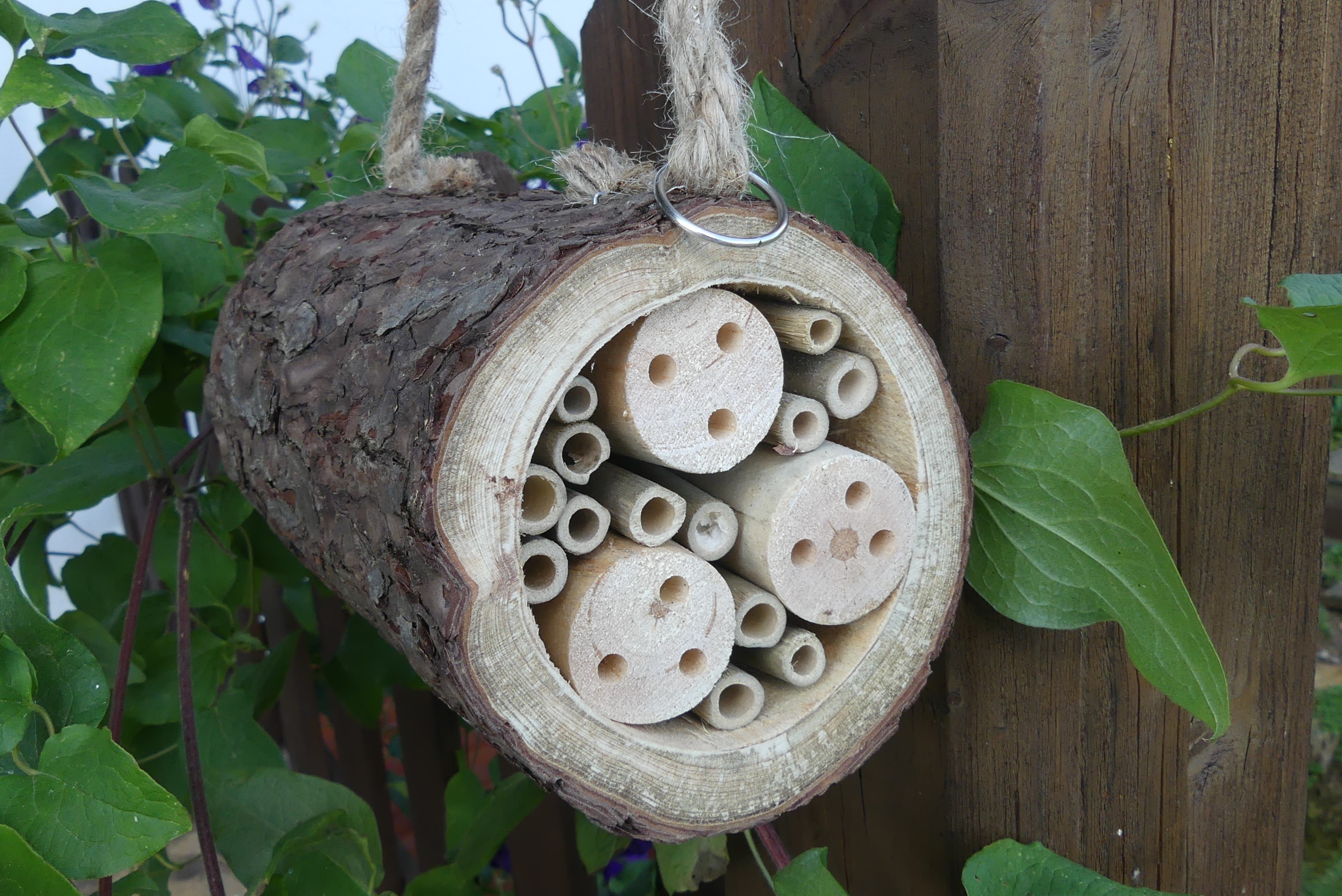 Eine handgemachte Nisthilfe für Wildbienen und andere Insekten. Sie besteht aus einem kurzen, ausgehöhlten Baumstammstück, welches mit hohlen Bambushalmen und Holzstücken mit Bohrlöchern gefüllt ist. Die Nisthilfe wurde mit Hilfe eines Seils an einen senkrechten Holzbalken befestigt.