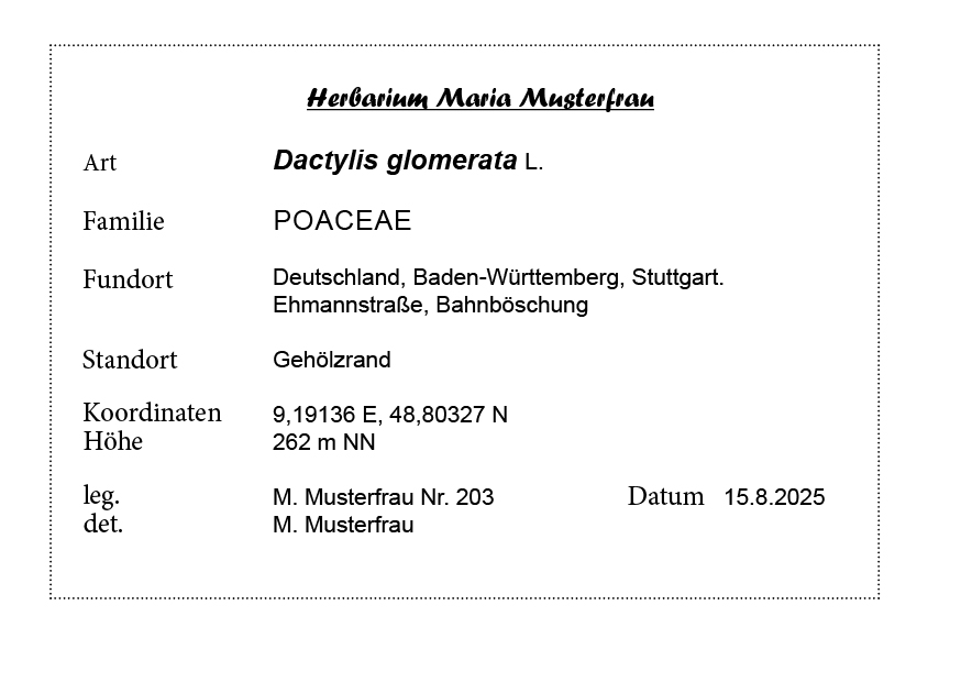 Beispieletikett mit Funddaten einer Pflanze