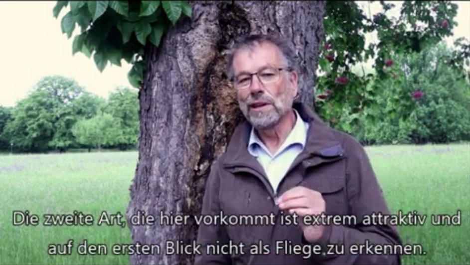 Mann erklärt etwas vor Baum