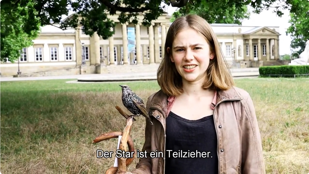 Frau mit Präparat eines Staren vor Schloss Rosenstein