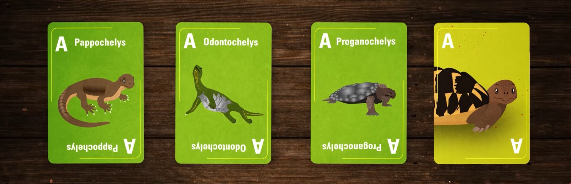 Zeichnung Spielkarten Schildkrötenevolution