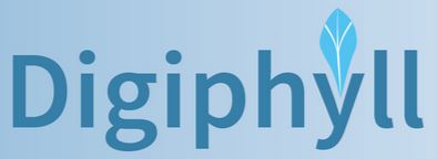 Logo-6