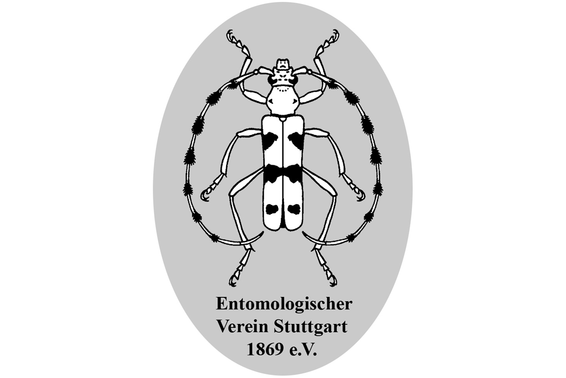 Logo des Entomologischen Vereins Stuttgart