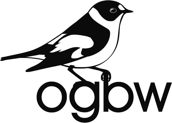 Logo Ornithologische Gesellschaft Baden-Württemberg