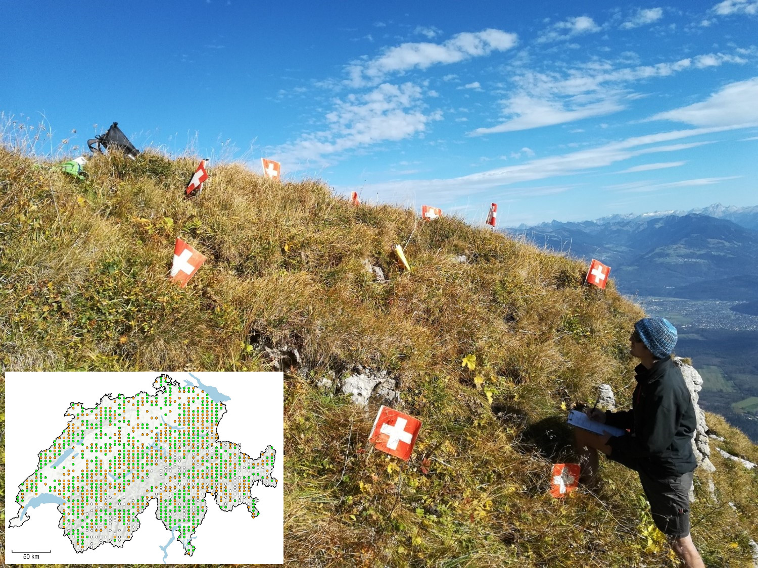 Mann dokumentiert Beobachtungen bei einer Dauerfläche und Verbreitungskarte von Moosarten in der Schweiz