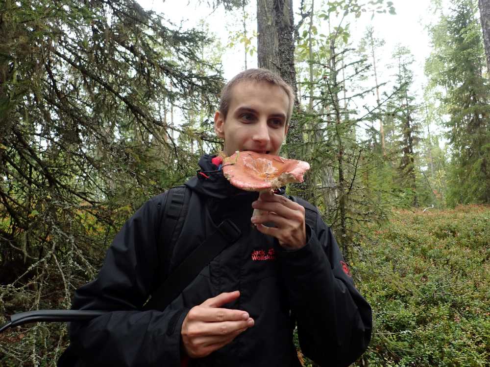 Ruben De Lange beißt in Pilz