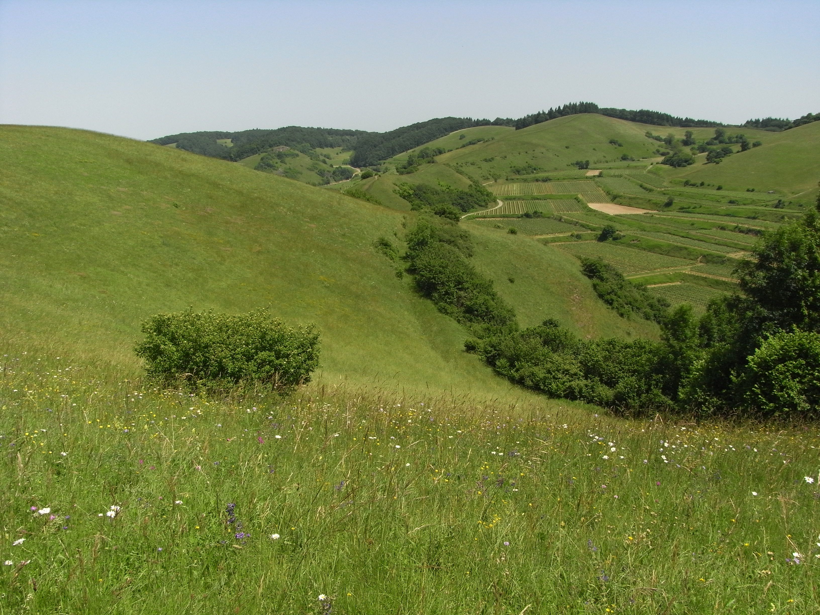 Hügelige Landschaft