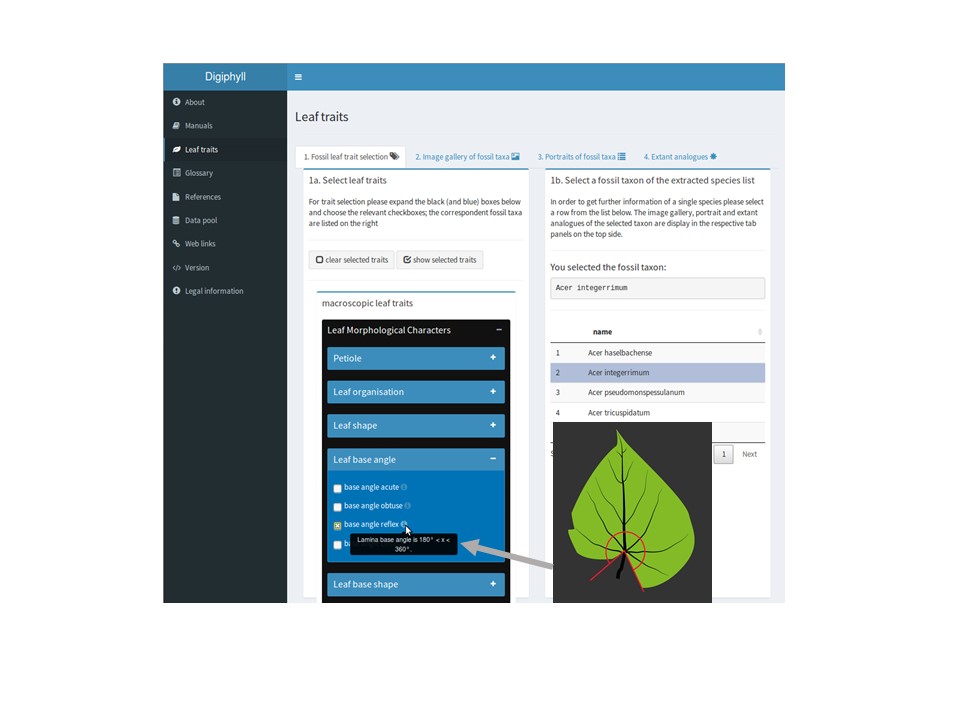 Benutzeroberfläche der Webplattform DIGIPHYLL