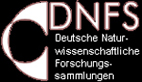 Logo-1