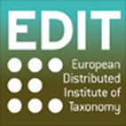 Logo-6