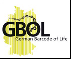 Logo-5