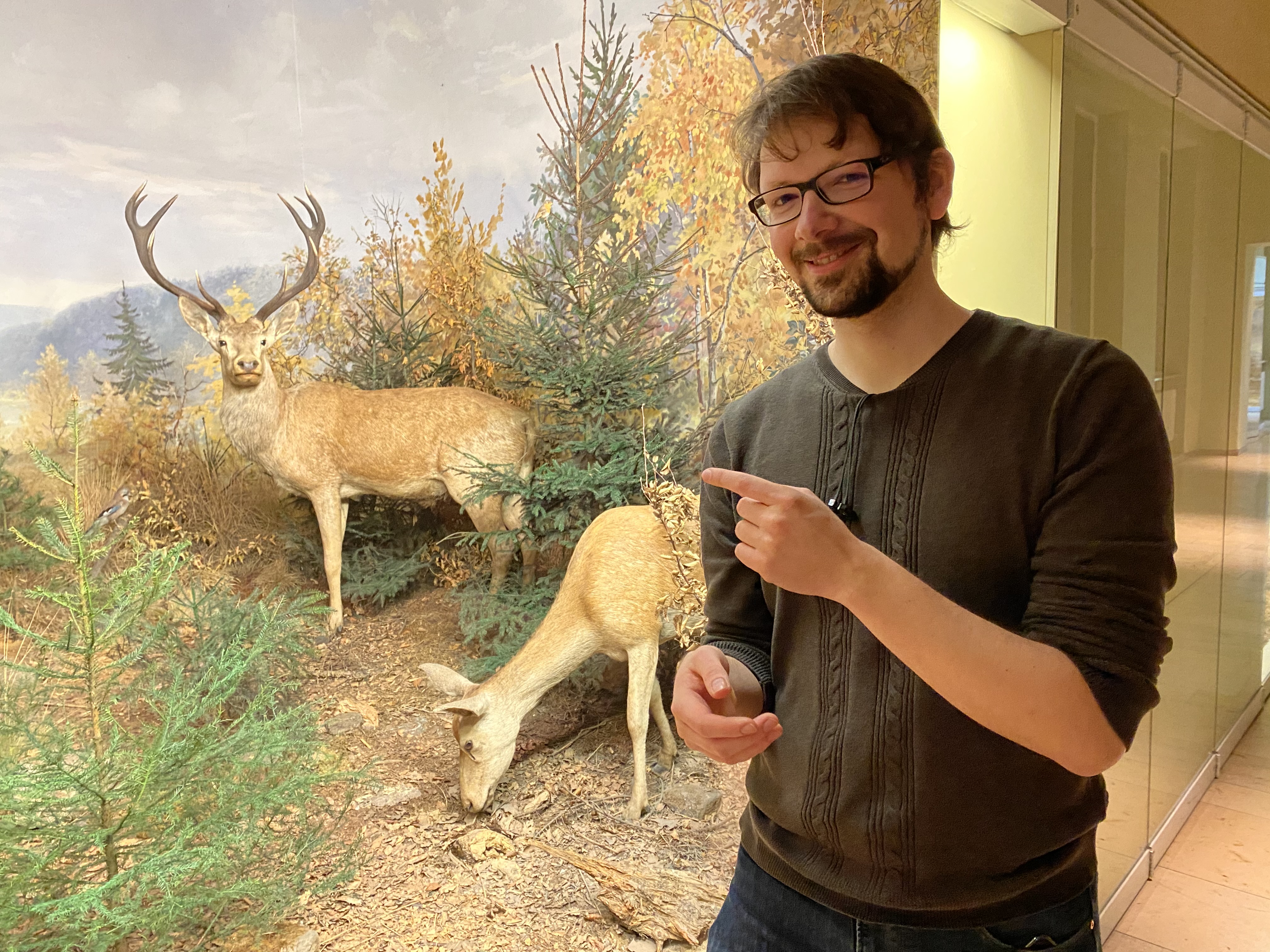 Lächelnder Mann steht vor einem Diorama mit Rothirschen.