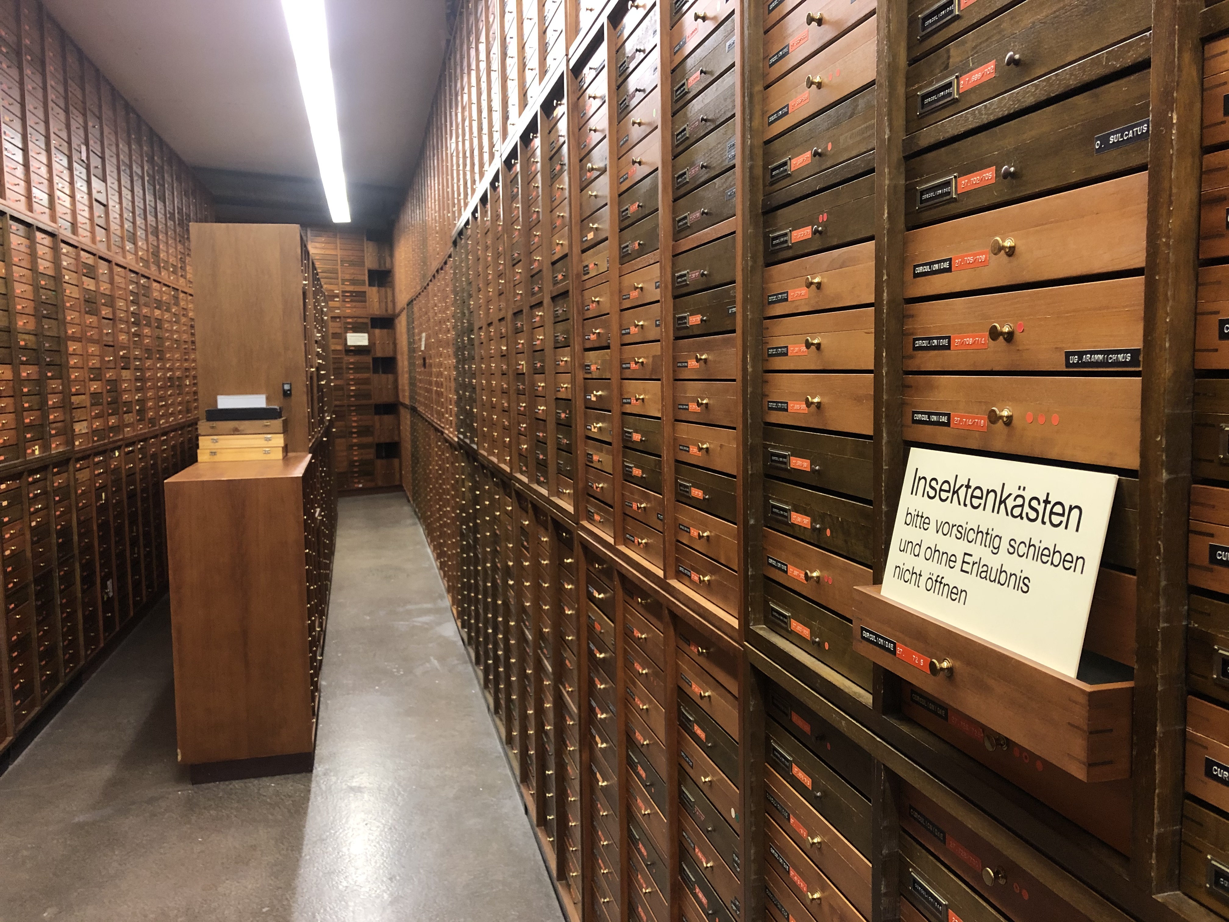 Blick in die entomologische Sammlung mit sehr vielen Schränken.