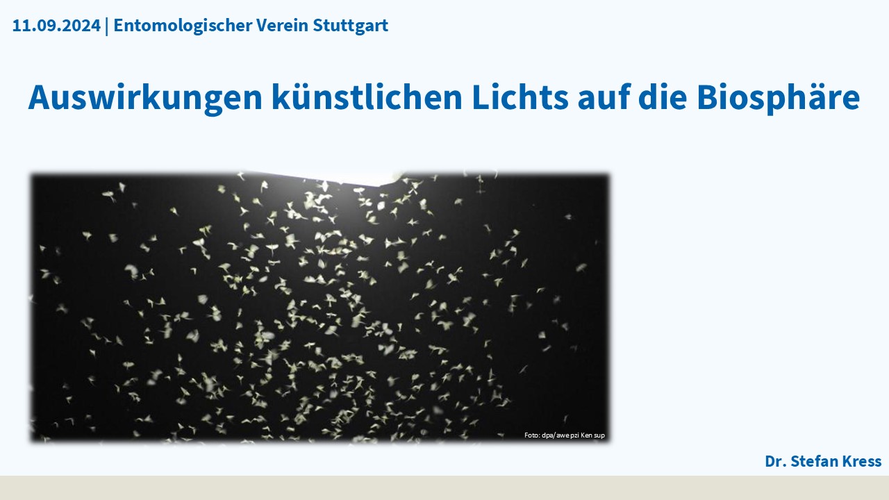 Plakatmotiv Vortrag Auswirkungen künstlichen Lichts auf die Biosphäre