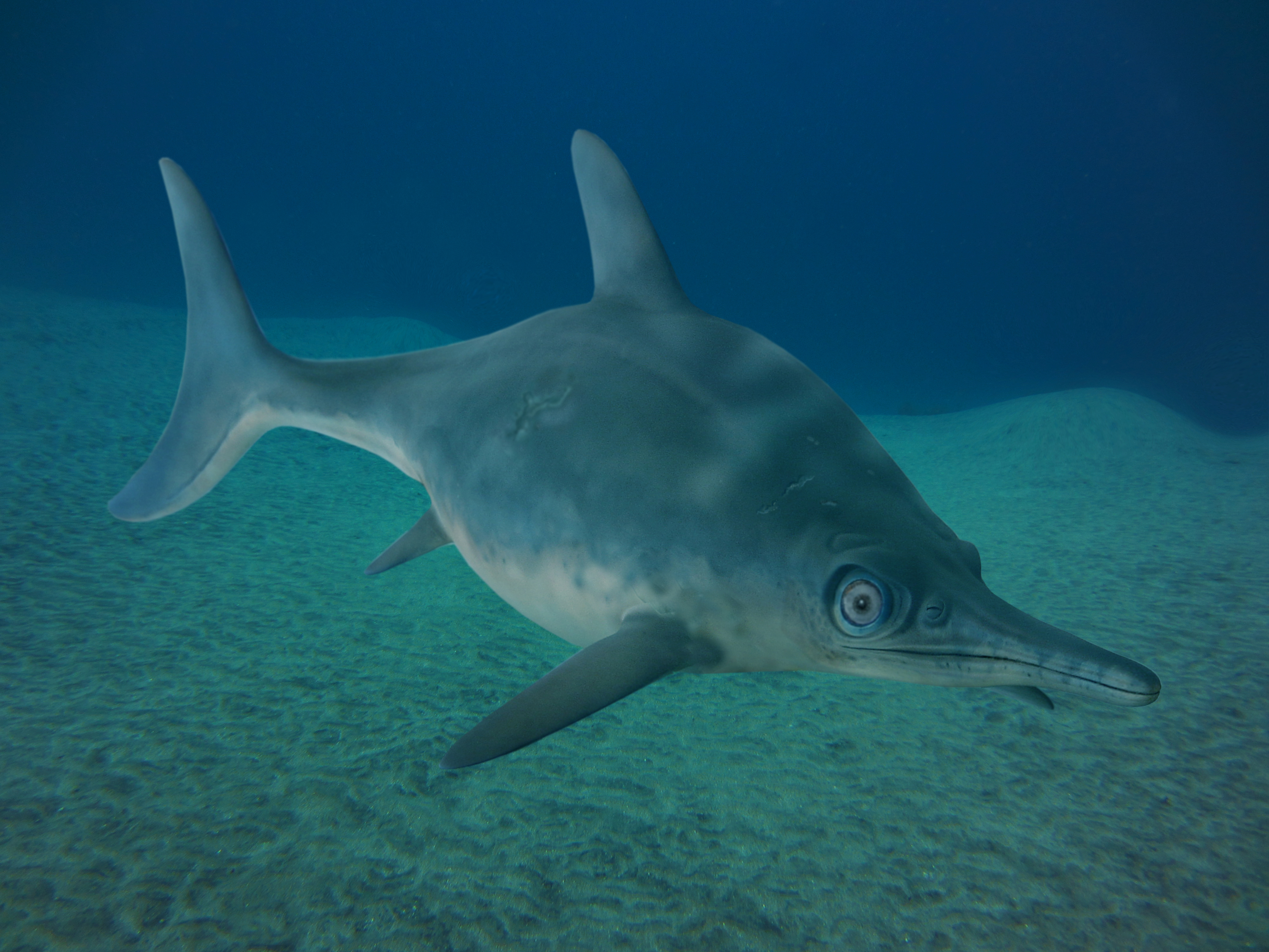 Digitale Rekonstruktion des Fischsauriers Argovisaurus martafernandezi