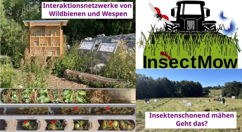 Kollage aus Insekten-Nisthilfen und Wiesen-Mähen
