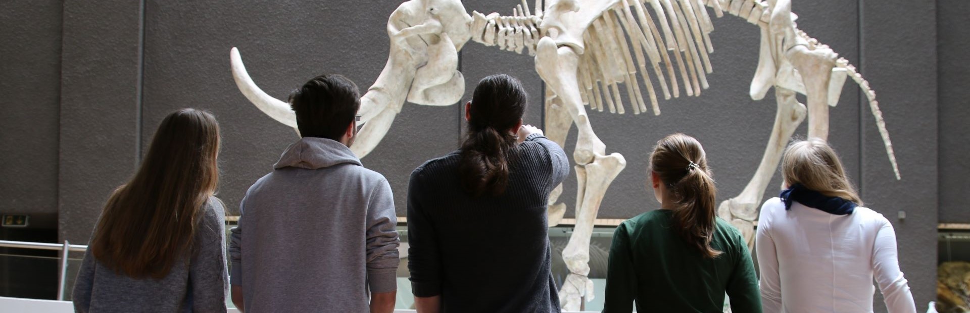 Besuchergruppe vor Steppenelefant