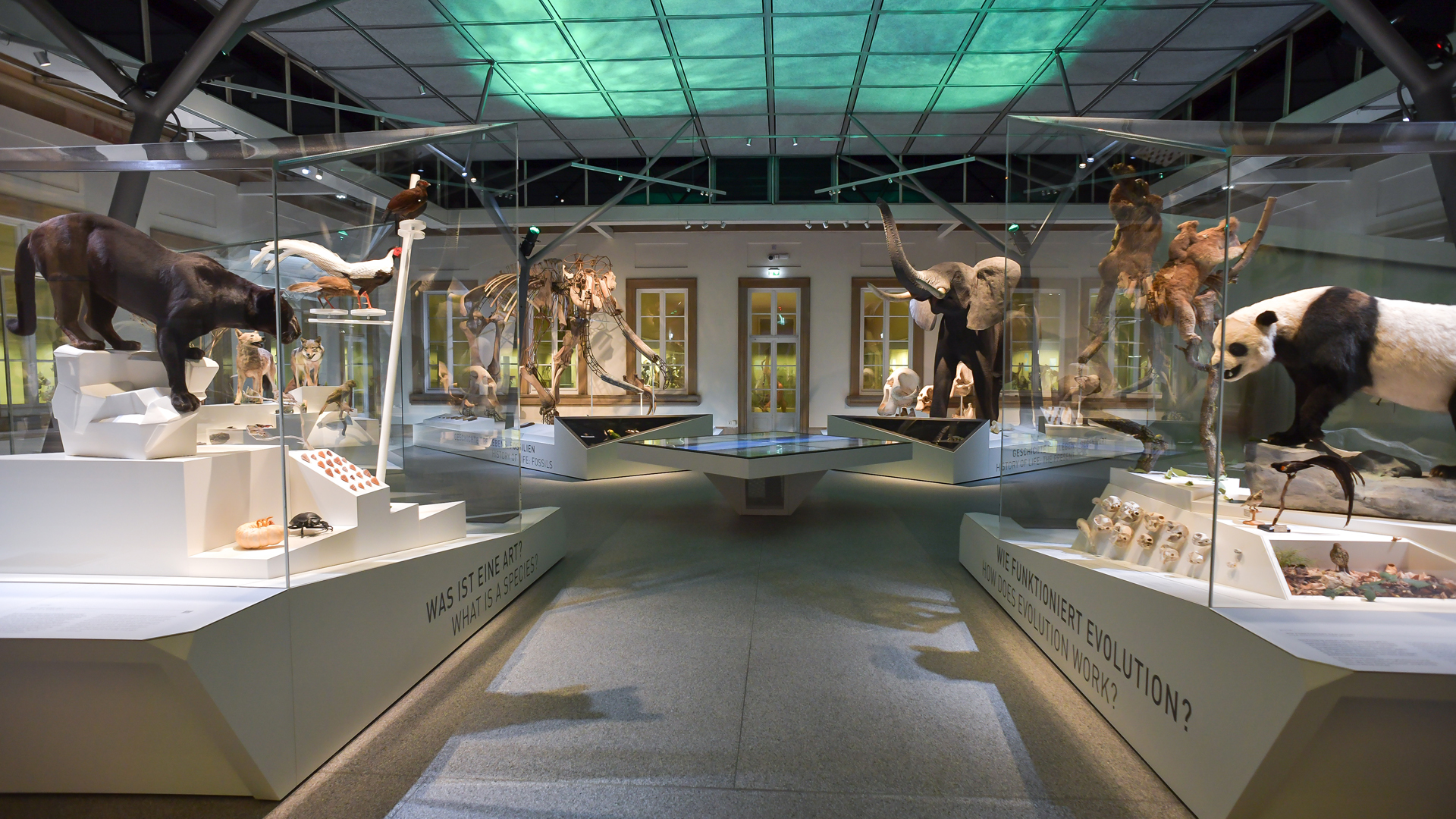 Übersicht Evolutionssaal, Copyright M. Kovalenko